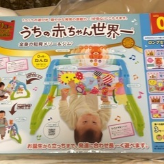 ピープル うちの赤ちゃん世界一 全身の知育 メリー&ジム