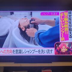 31日まで❗液晶テレビ SONY BRAVIA 46-49インチ...