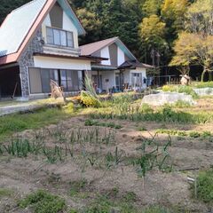 玉ねぎ等野菜の無人摘み取り園