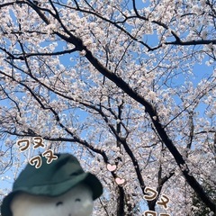 公園でバイブルスタディしませんか？👼📖