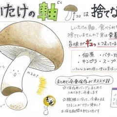 【格安】手描きのイラストでPOPやチラシ作ります♬（ココナラ）