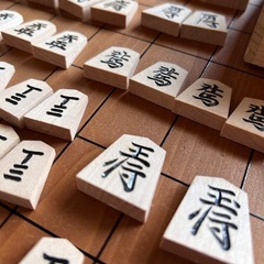 【値下げしました】将棋の駒　1セット　中古の画像