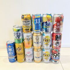 2本追加！【お酒まとめ売り！】ビール・缶チューハイなど17本セット！
