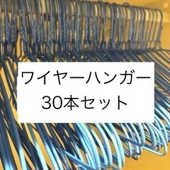 ワイヤーハンガー30本