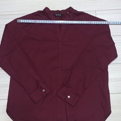 レディースシャツ　サイズ  Ｌの画像