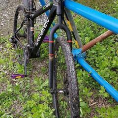 乗らなくなったMTBの画像