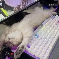 ドラクエフレンドよろしくお願いします！