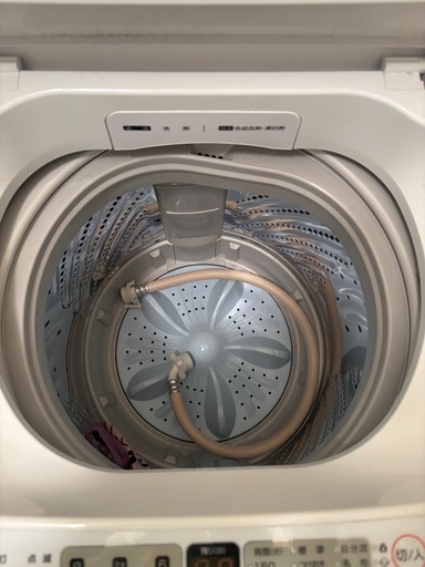 ハイセンス洗濯機 (金太郎) 交野の生活家電《洗濯機》の中古 ハイセンス洗濯機 (金太郎) 交野の生活家電《洗濯機》の中古