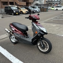 シグナス2型　台湾