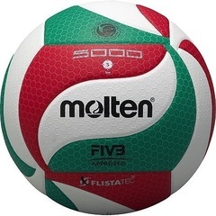 🏐バレーボールに一緒に参加しませんか❓🏐