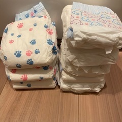 ペットオムツSの画像