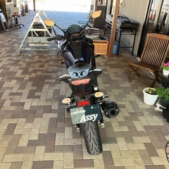 YAMAHA FAZER25 フェザー250 ABS付き　RG42 ETC装着　USB充電器装着　機関良好　単気筒　流行りのマッドカラー　ブレーキパッド交換の画像