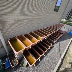(全在庫購入者決まりました)AZプランター 在庫40個