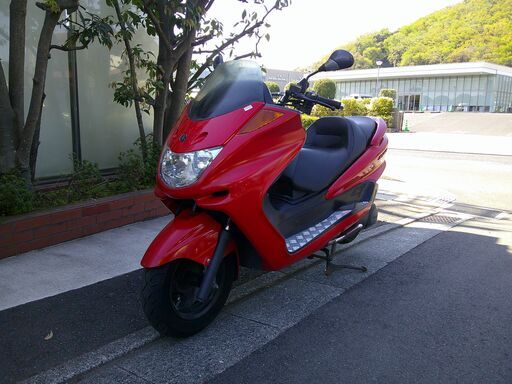 ヤマハ　マジェスティC250(限定車)　バッテリー新品交換済み　シート新品張替え済　ナンバー登録書類有り(無料)