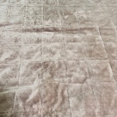 こたつ掛けと敷き　ニトリの画像