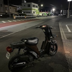スズキ　スーパーモレの画像