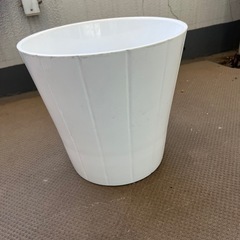 鉢　(陶器です)
