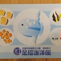 ステッカー　足摺海洋館　２枚