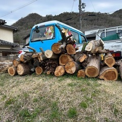 丸太　無料　薪やキャンプに最適