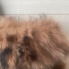 ファー付きカゴバックの画像