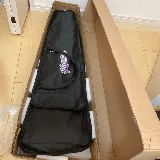 ピグノーズ　エレキギター