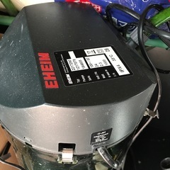 155lN IS SO.エハムフリタ、ヒタセント