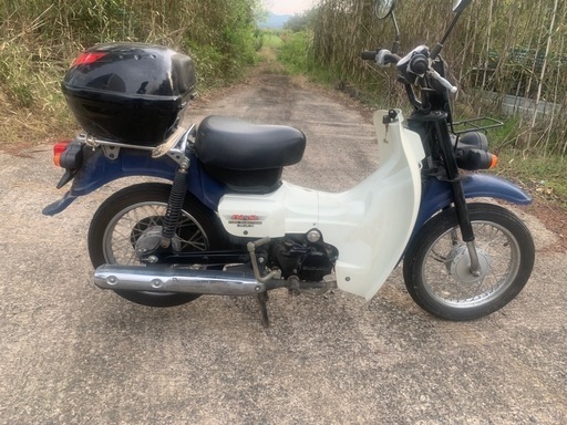 スズキバーディーインジェクション