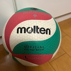 江戸川区ママさんバレー募集✨