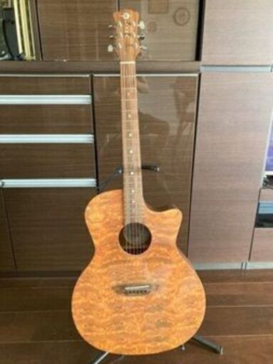 Luna Guitars Gypsy Bubinga　Graphic Acoustic Guitar オンライン決済