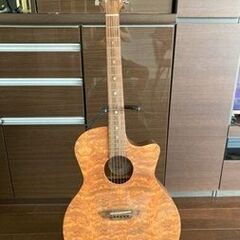 Luna Guitars Gypsy Bubinga　Graph...