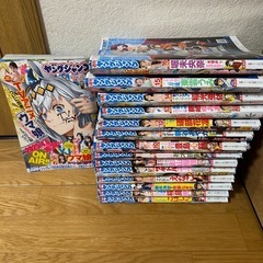 ヤングジャンプ17冊