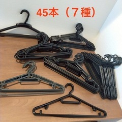 ハンガー45本セット