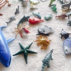 海　動物　フィギア　美品　まとめての画像