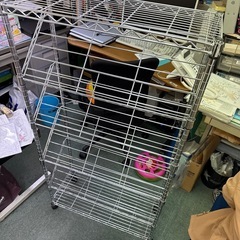 ラック 決まりました