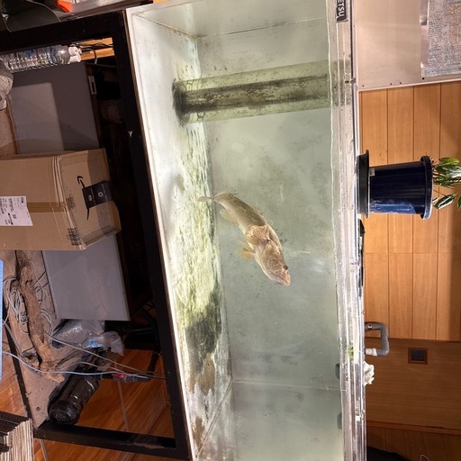 1.500＊750＊600オーバーフロー水槽セット