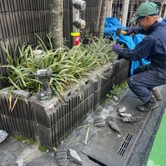造園工事、外構、庭園緑地管理作業が主 当社で働きませんか。 所沢市の画像