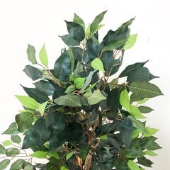観葉植物 フィカス 690 A美品リアル大型フェイクグリーン