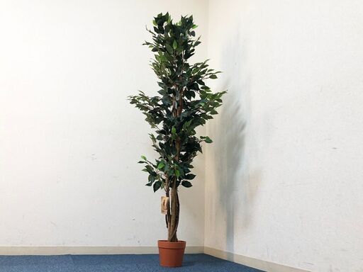 特価ブランド 観葉植物 A美品リアル大型フェイクグリーン 690 フィカス フィカス