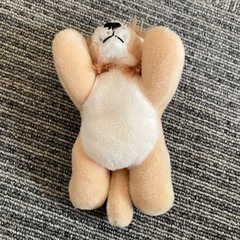 ライオン ぬいぐるみ 人気の画像
