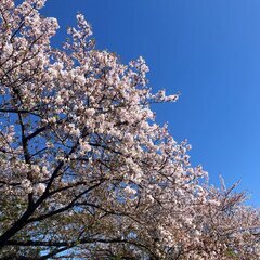毎日が不安です誰か居ませんか？