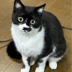 まん丸お顔とおメメのララちゃん❣️