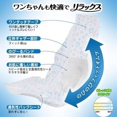 犬用おむつ　男の子用　さしあげます。