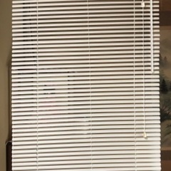 ブラインド(白色)