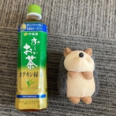 ハリネズミ　ぬいぐるみ　グレー　人気　①の画像