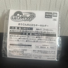☆500個限定☆ポケモンフレンダおうごんのとびら キーホルダーの画像