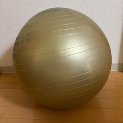 バランスボールの画像