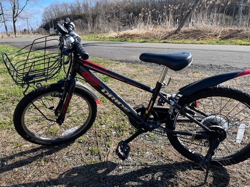 アサヒ 子供用自転車 ドライド S3 20インチ