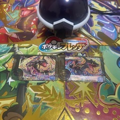 ポケモンフレンダ引退セット