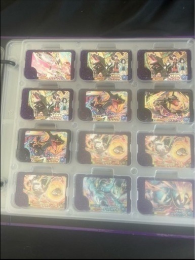 ポケモンフレンダ引退セット