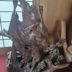 木の根　オブジェ 天然木　切り株　5点の画像